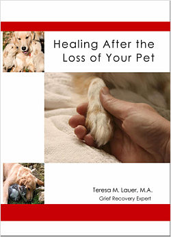 Healing After the Loss of Your Pet DVD